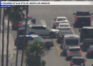 pursuit-suspect.png 