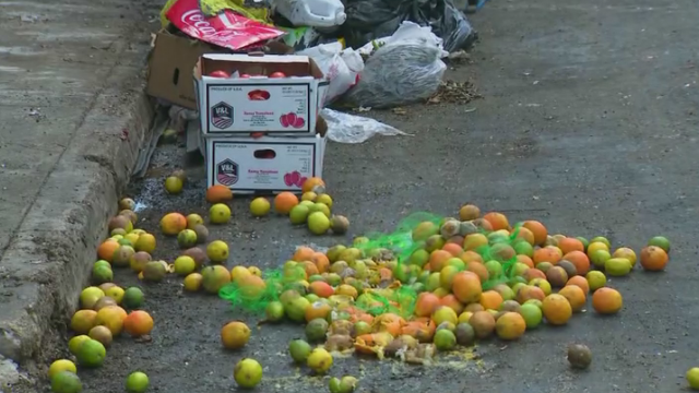 fruit-dumping.png 