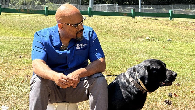 service-dog-training-1.jpg 