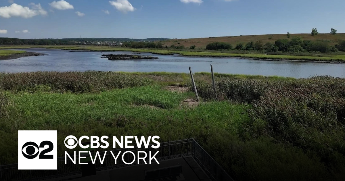 Fresh Kills landfill transformed into park on Staten Island - CBS New York
