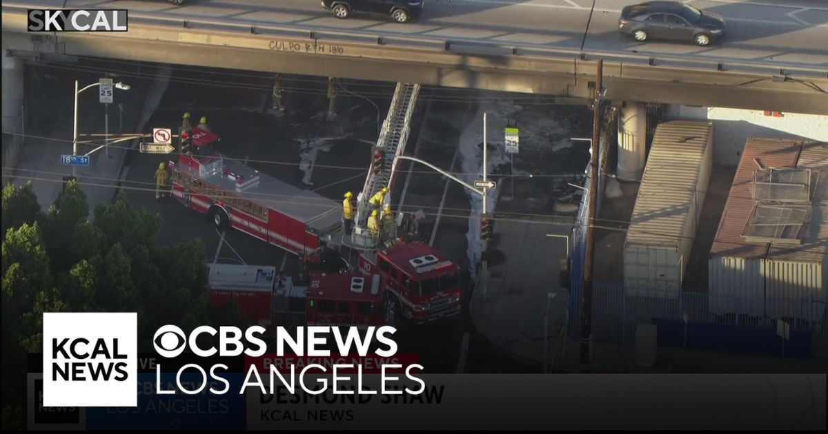 LAFD crews quickly extinguish fire burning underneath 10 Freeway ...