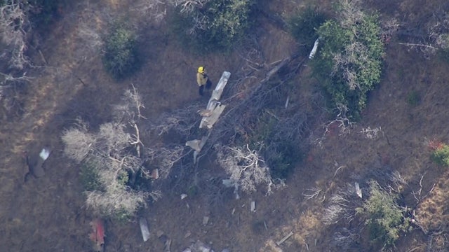 Mount Hamilton plane crash 