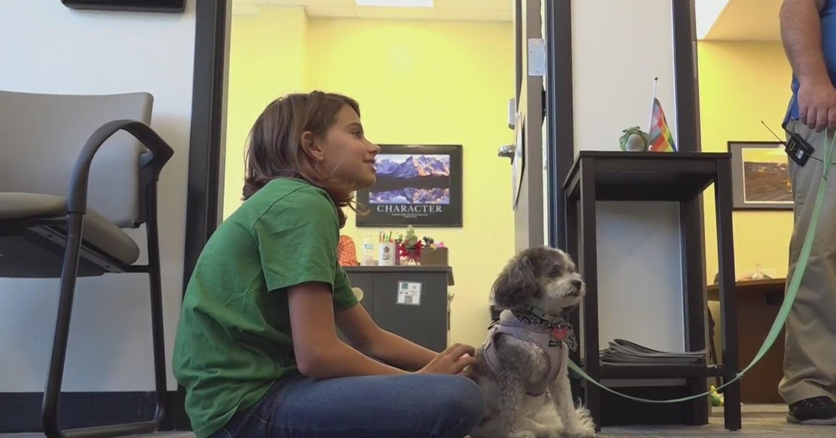 Pennsylvania middle school uses therapy dogs to help students feel at ...