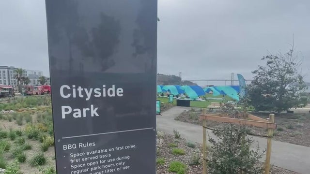 sf-treasure-island-cityside-park.jpg 