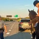 Horse rescued on I-93 in Randolph after trotting away from rider 