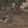 Baby killed in crash involving driver fleeing from police in Delaware 