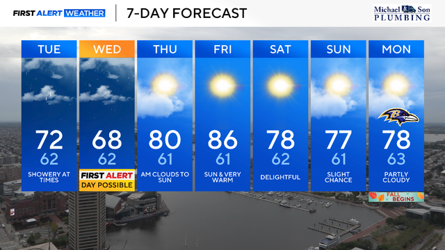 7-day-tuesday-am.png 