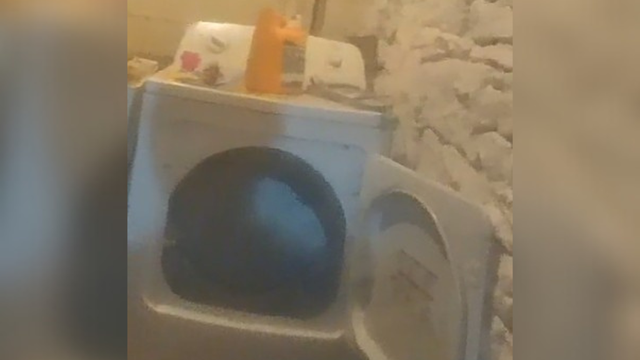 kdka-devonta-youngblood-dryer.png 