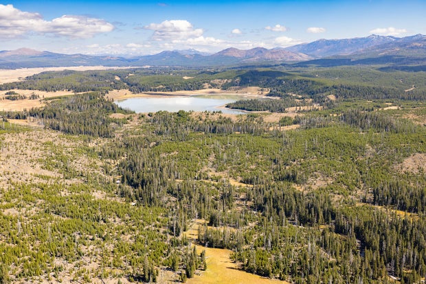 turbid-lake-54075009267-41b51d329c-k.jpg 