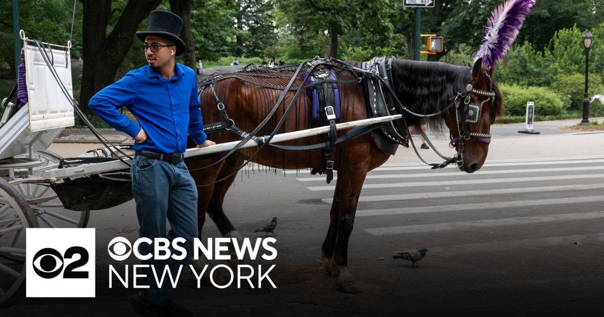 NYC Mayor Adams Wants to Ban Horse Carriages: A Controversial Move