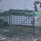 Plymouth residents express concern over growing rat problem 