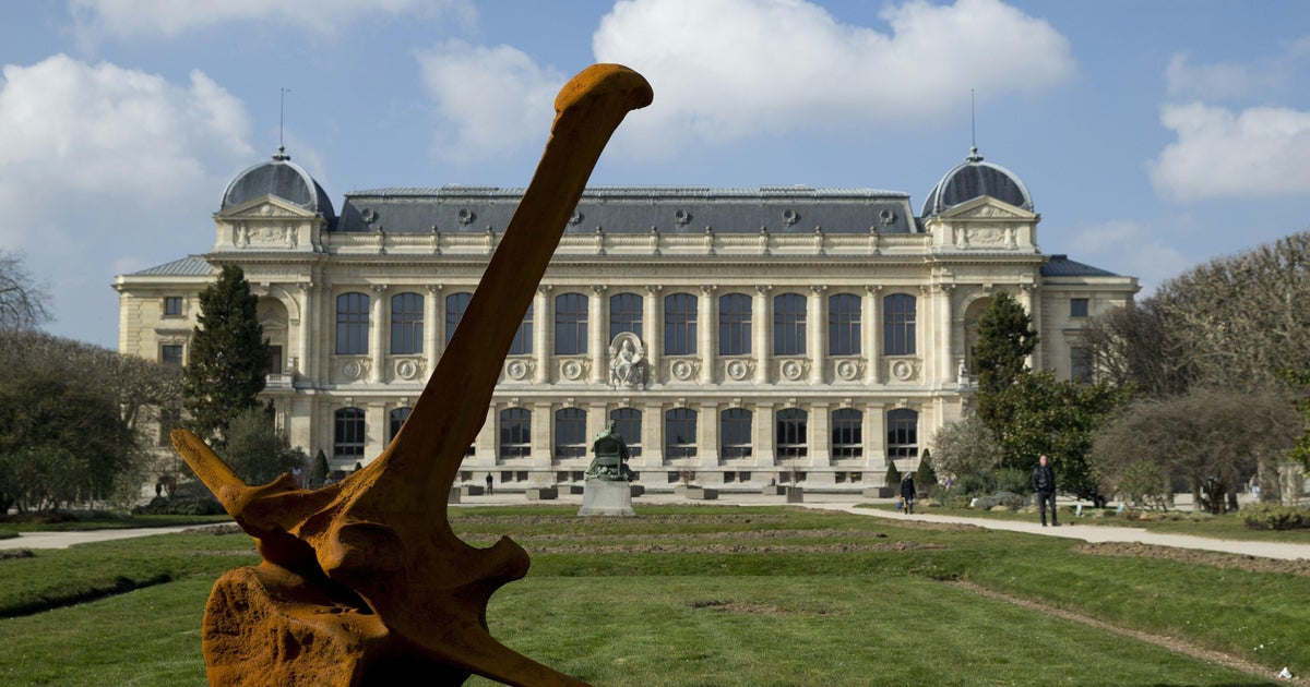 Gold worth $700,000 stolen from Paris's Natural History Museum