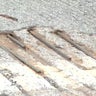 Drivers concerned about exposed rebar on Cross County Parkway 