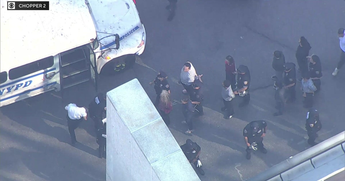 New York officials among dozens arrested at anti-ICE demonstration