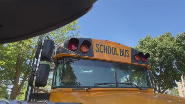 Understanding Michigan's school bus laws 