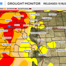 Drought conditions improve in Colorado: Here's what that means for insects this fall 