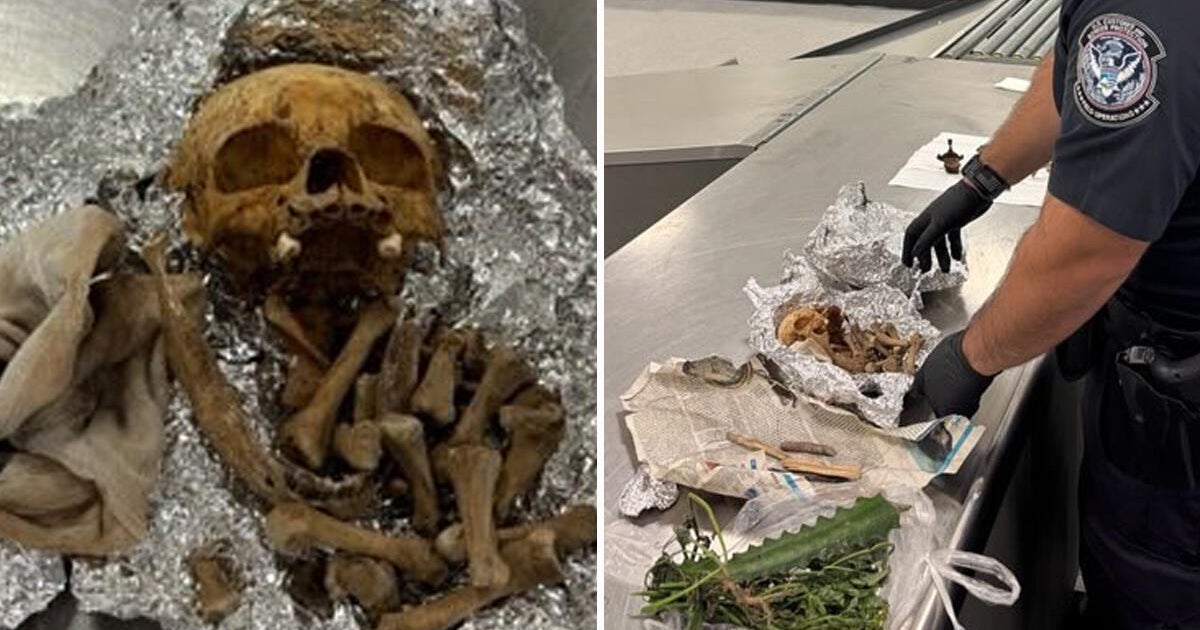 CBP officers at Florida airport discover human skull and bones in luggage, passenger claims ritual use