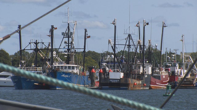 New Bedford fishing boats 