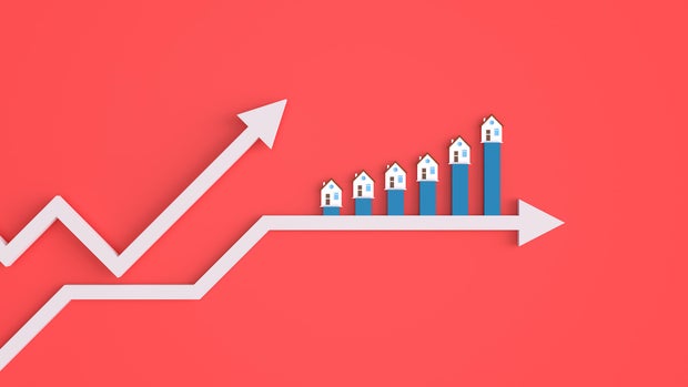Real estate business graph and charts 