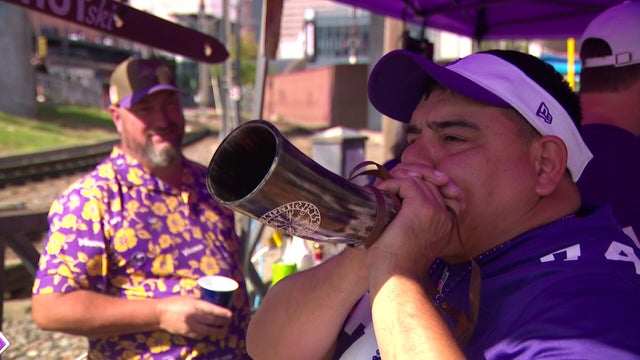story-2-vikings-ireland-vo-wcco8sjl.jpg 