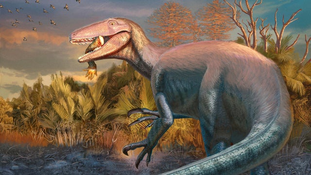 Clawed Dinosaur 