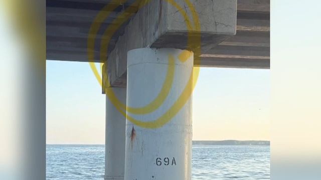 bay-bridge.png 