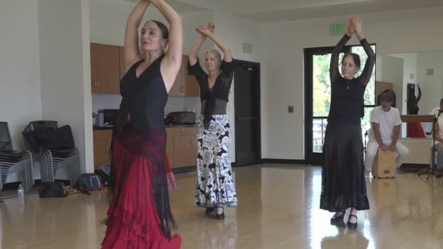 flamenco.jpg 