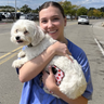 Dog who went missing at Pittsburgh International Airport reunited with owners 