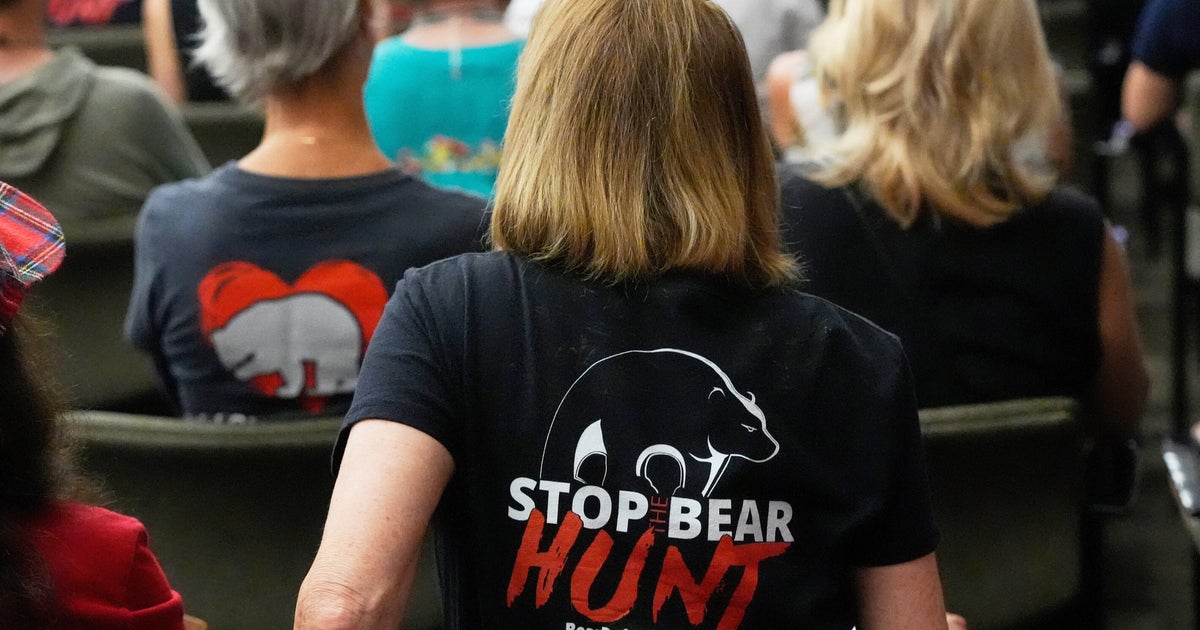 Florida’s first bear hunt in decade draws more than 160,000 applicants, wildlife officials say