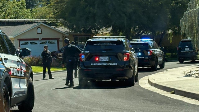 Pleasanton robbery arrests 