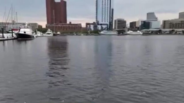 harbor2.jpg 