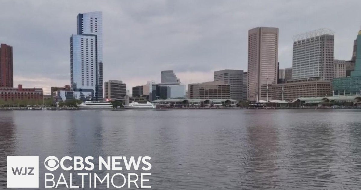 Maryland Dept. of Environment estimates 25,000 dead fish in Harbor due ...