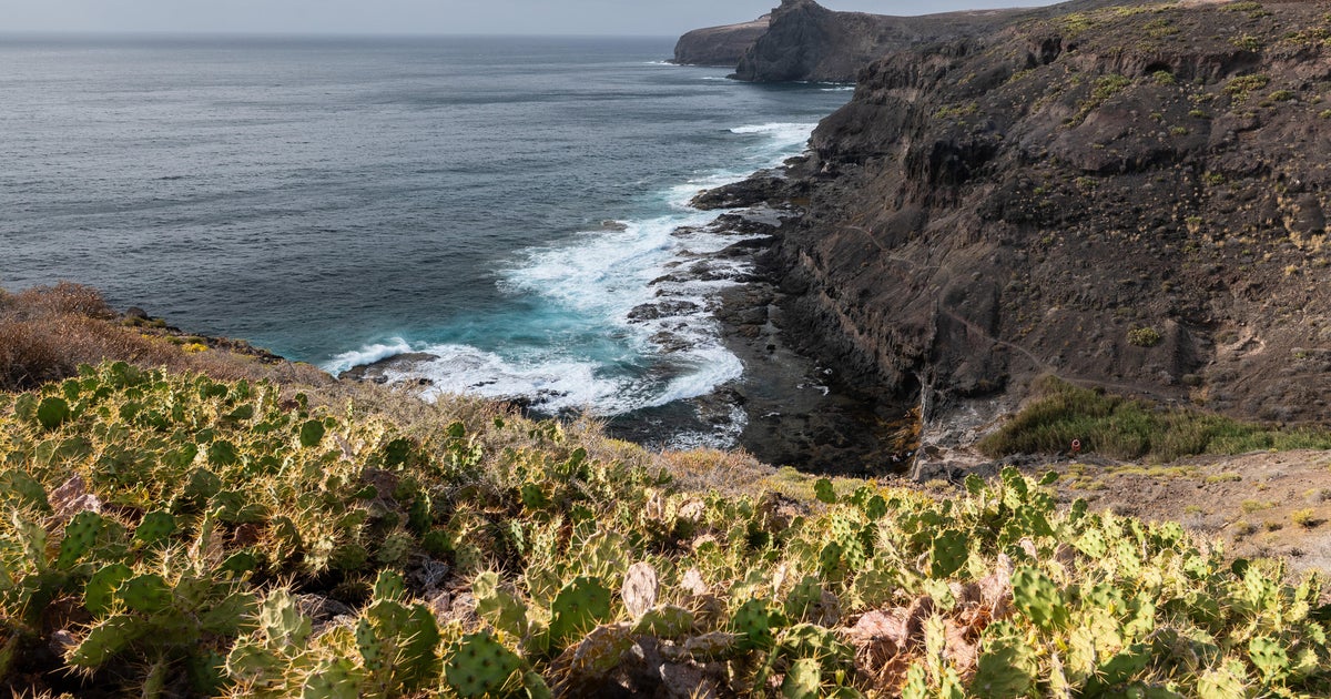 Courtroom convicts man of throwing pet off cliff in entrance of accomplice, citing gender violence legislation in Spain
