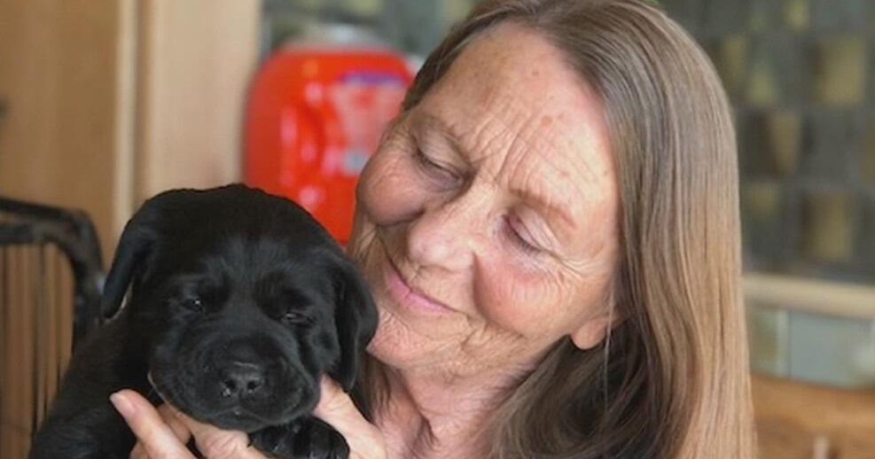 Sonoma County’s Dr. Bonnie Bergen reflects on 50 years of service dog concept she began