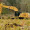 Some Massachusetts cranberry farmers are restoring their bogs into wetlands