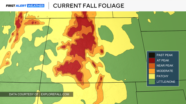 current-fall-colors.png 