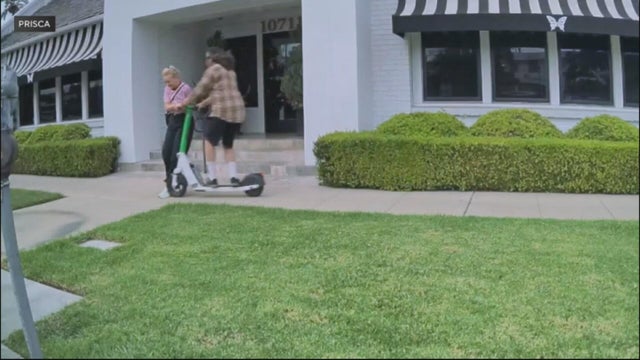 scoooter-hit-and-run.jpg 