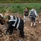 A look at recovery efforts one year after Hurricane Helene