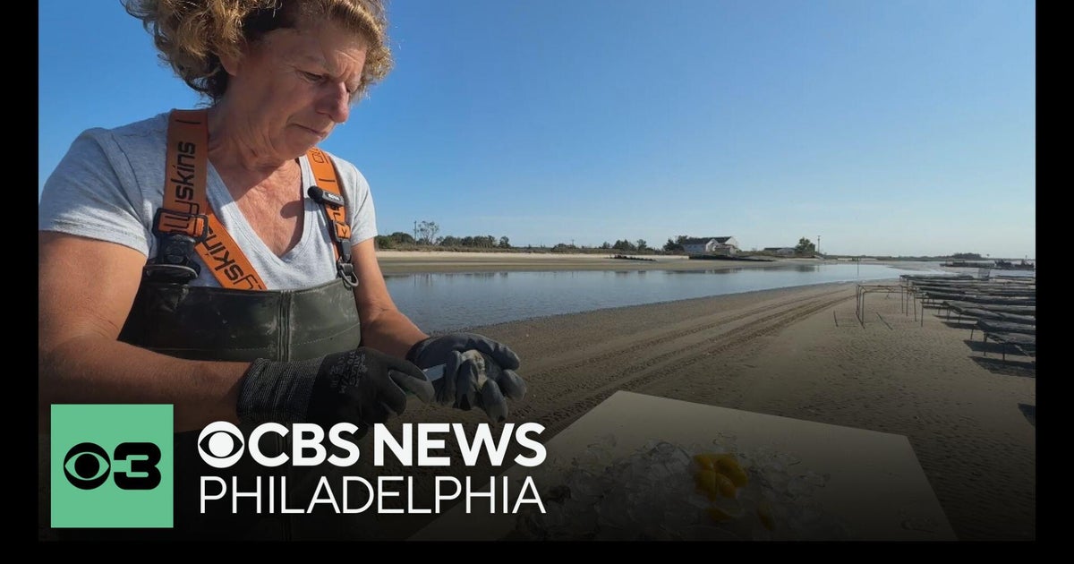 N.J. oyster farmer, longtime chef among honorees at annual dinner for women in the food industry