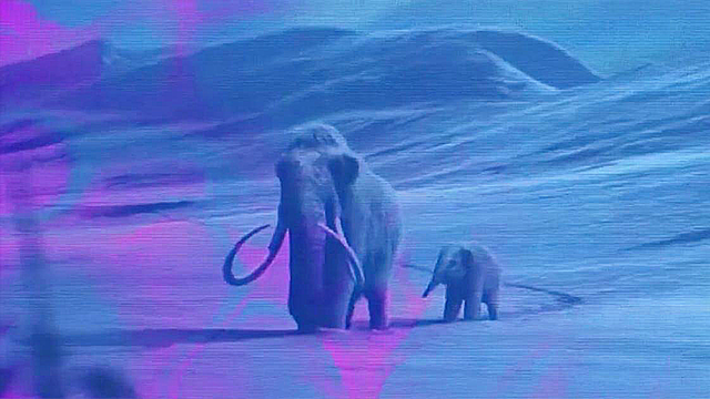 extinction.png 