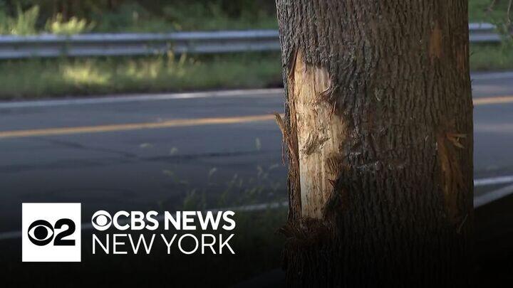 3 dead in Rockland County car crash - CBS New York