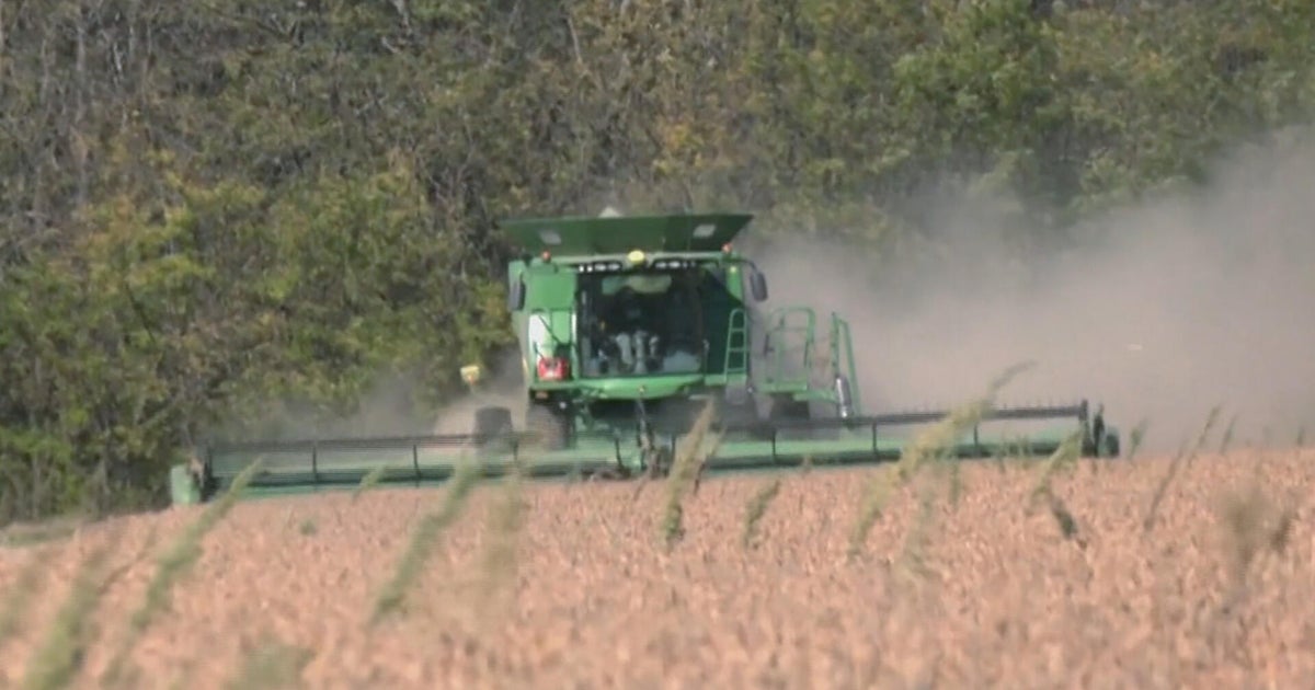 U.S. farmers in a bind as crop costs crash and tariffs drive greater tools prices