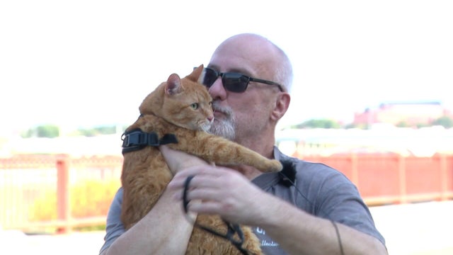 10p-pkg-gq-pets-mouths-2-wcco8ufs-00-02-2420.jpg 