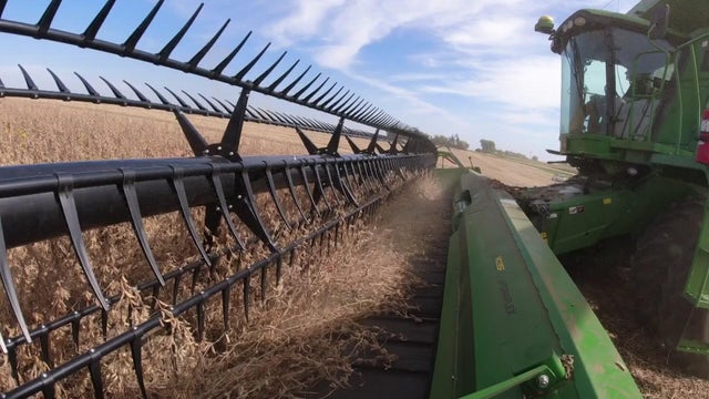 5p-pkg-tariffs-and-soybeans-wcco8udm.jpg 