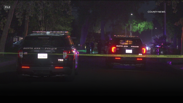 Santa Ana police union audit 