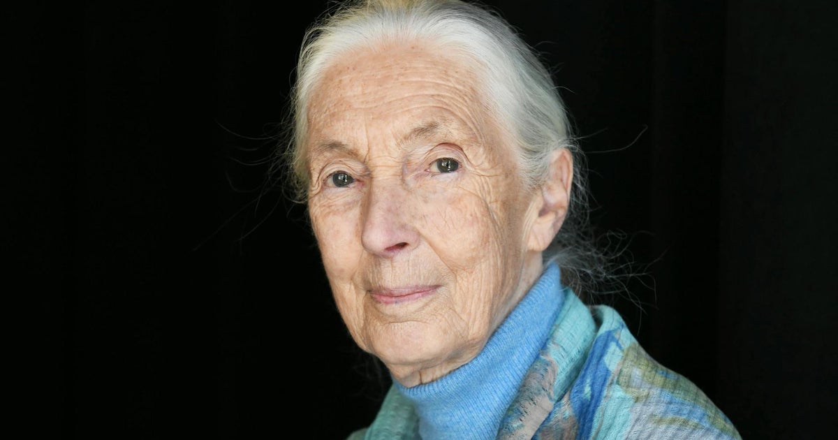 Renowned conservationist Jane Goodall dies at 91