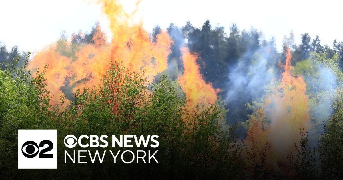 New York Imposes Temporary Burn Ban Amid Statewide Fire Risk