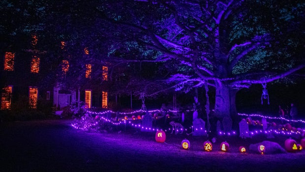 Weekend To Do List: Getting in the fall spirit with Halloween-themed events
