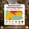 Western Pennsylvania approaching peak fall foliage this week 