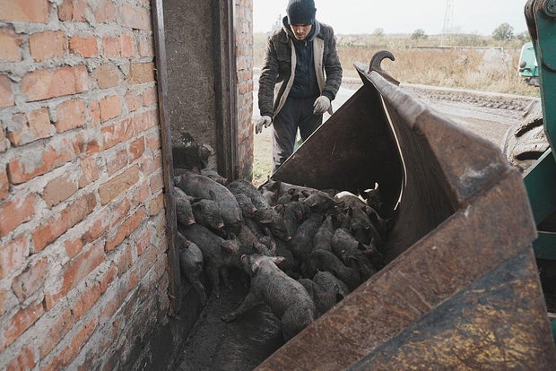 Massive Russian Drone Strike On Agricultural Enterprise In Kharkiv Region 